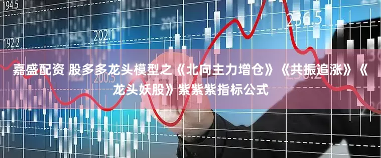 嘉盛配资 股多多龙头模型之《北向主力增仓》《共振追涨》《龙头妖股》紫紫紫指标公式