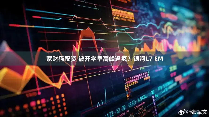 家财猫配资 被开学早高峰逼疯？银河L7 EM