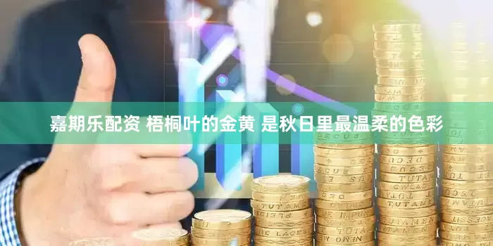 嘉期乐配资 梧桐叶的金黄 是秋日里最温柔的色彩
